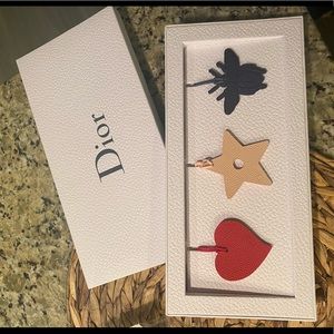 Dior Colorful Handbag Accessories